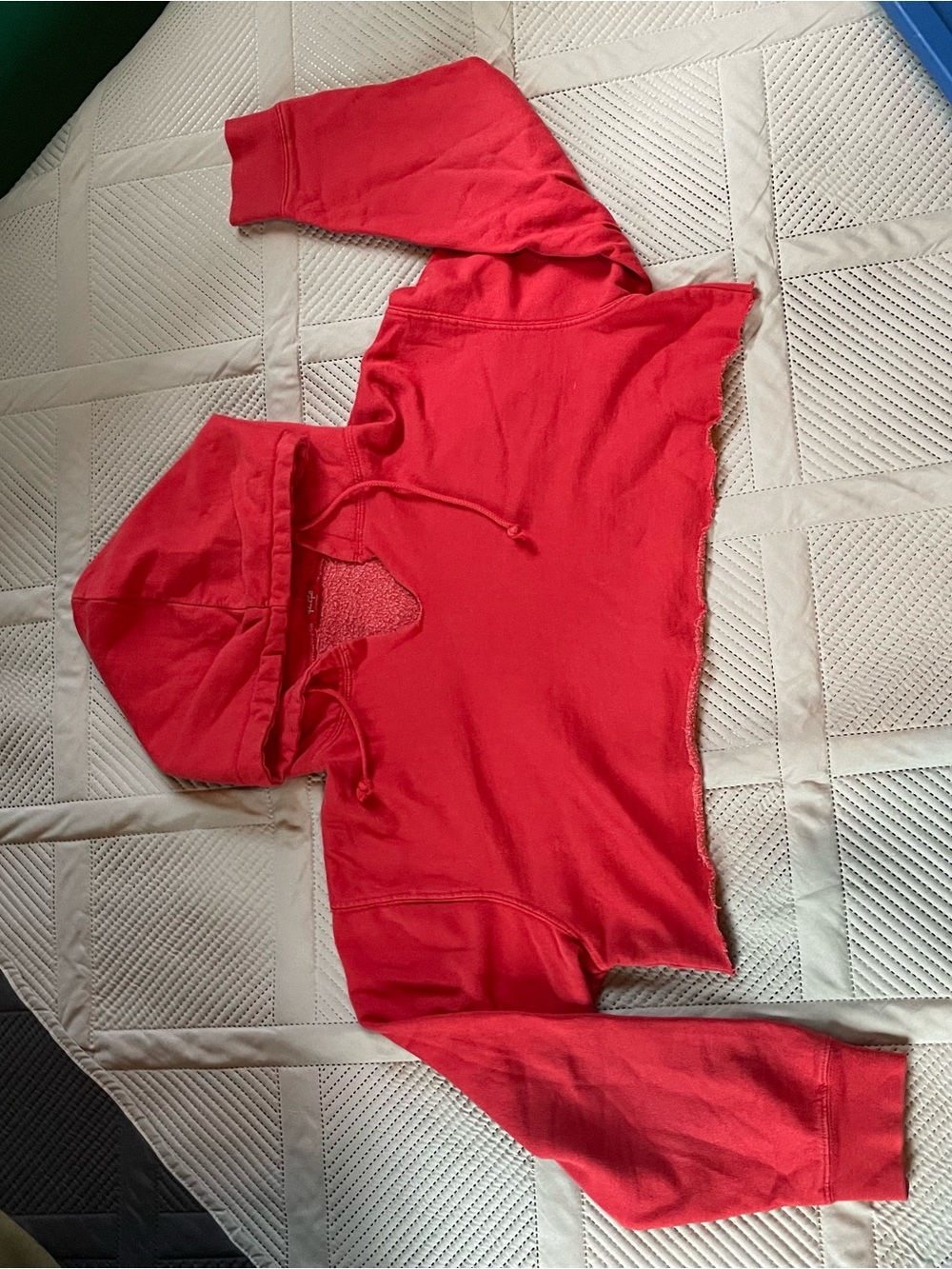 John Galt Cropped Hooded Sweatshirt Size M